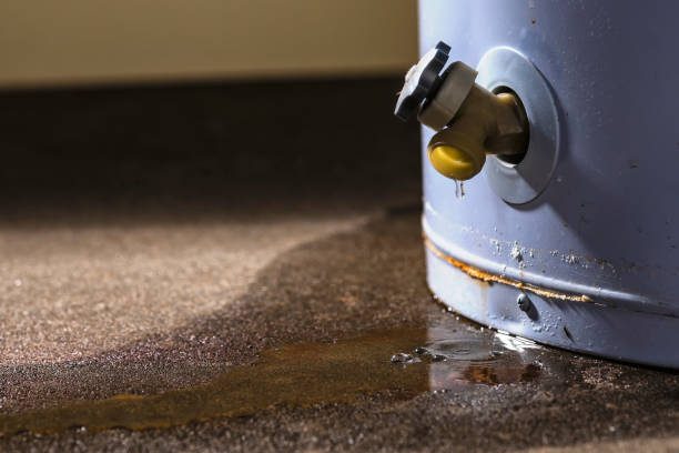 Best Flood restoration services  in Silver Summit, UT