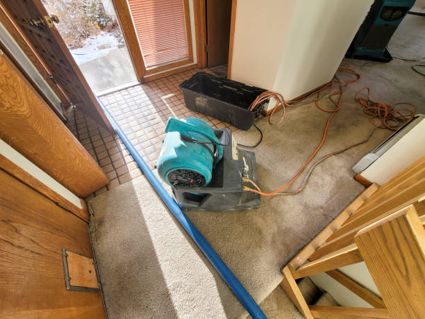 Water damage restoration insurance claims in UT