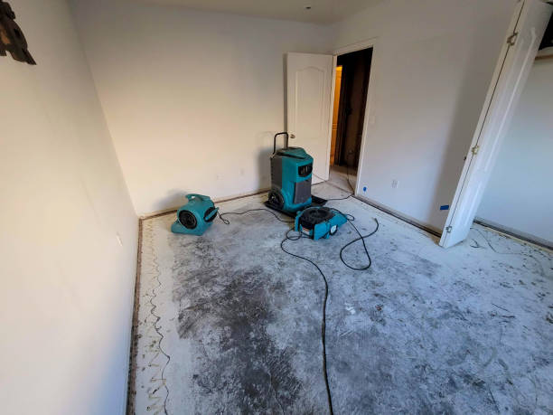 Best Water damage restoration near me  in Silver Summit, UT