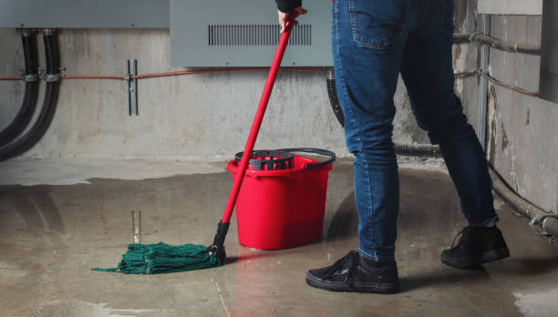Best Carpet water damage restoration  in Silver Summit, UT