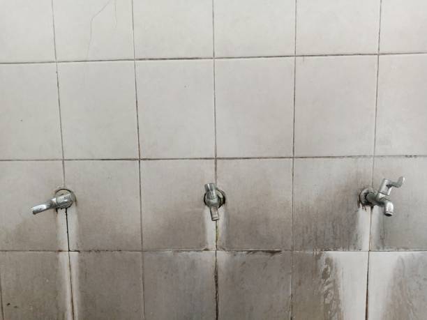 Best Mold removal after water damage  in Silver Summit, UT