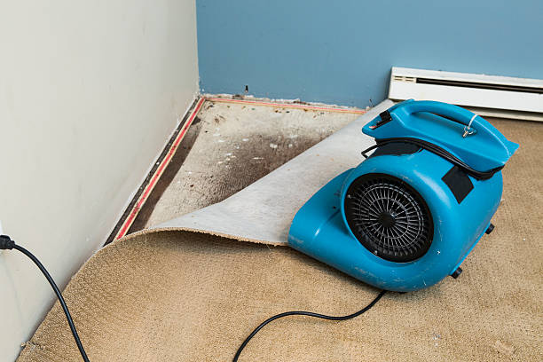 Best Emergency water damage restoration  in Silver Summit, UT