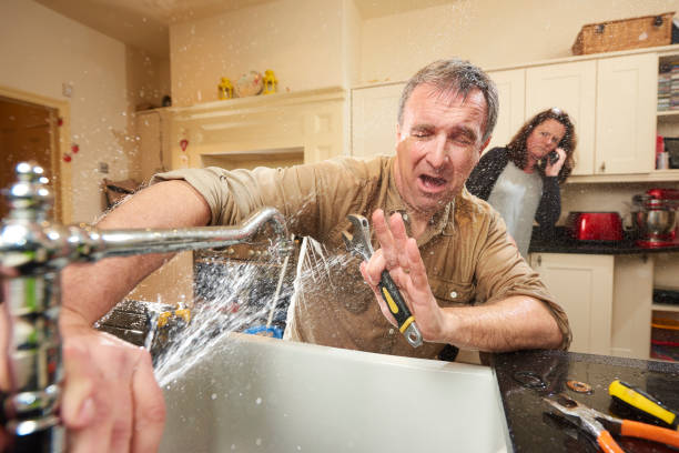 Best Professional water damage repair  in Silver Summit, UT
